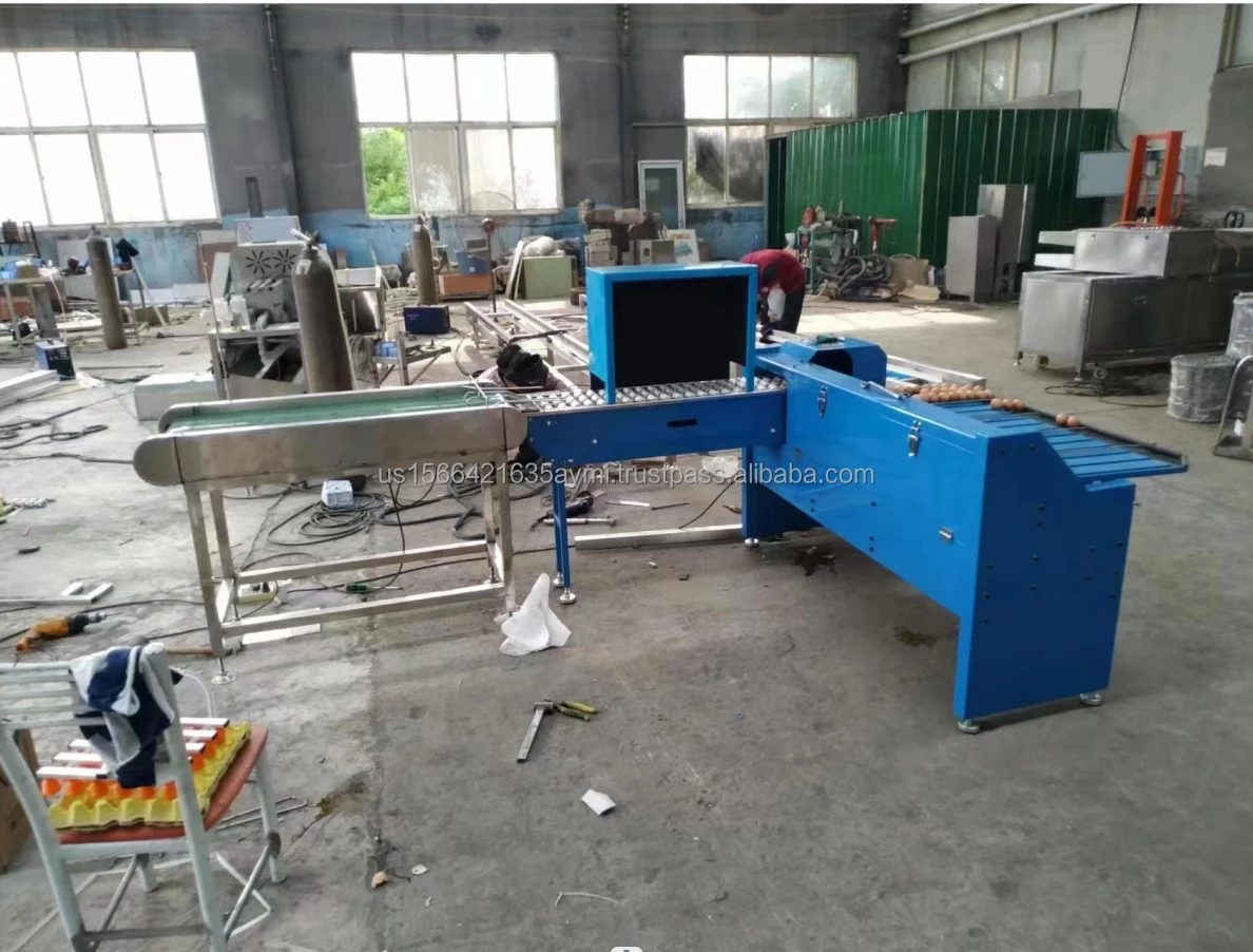 Eggs Quail Sorting Egg Sorting Grading Machine Egg Washing Grading And