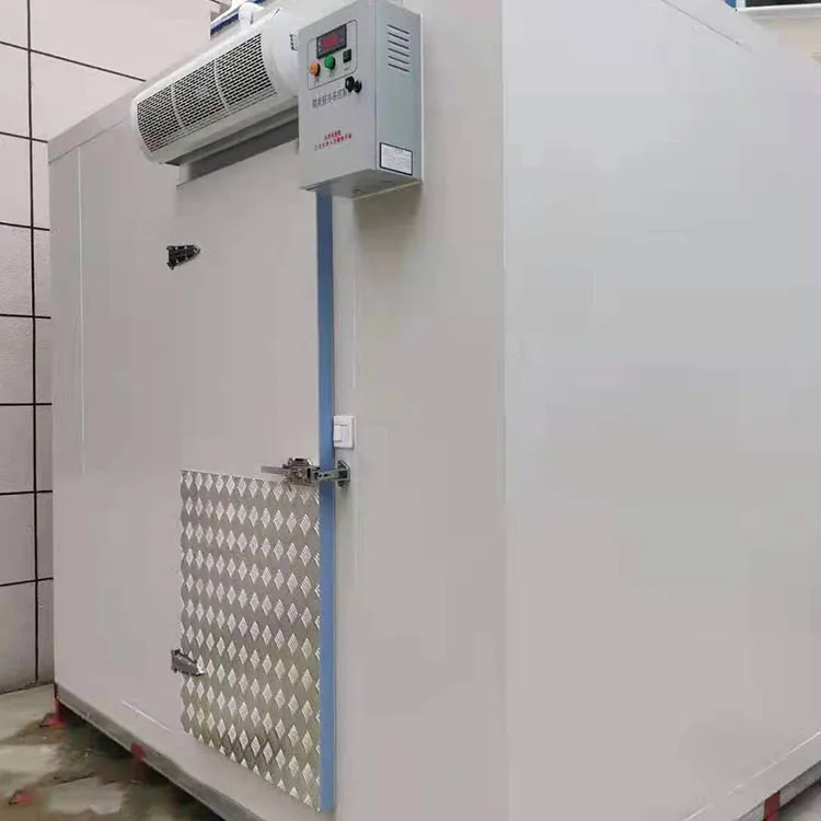 Blast Freezer, 20ft - detail 2