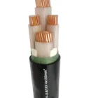 Insulated Cable Low Smoke Halogen Free Insulated 4*150mm2 Copper Core Cable