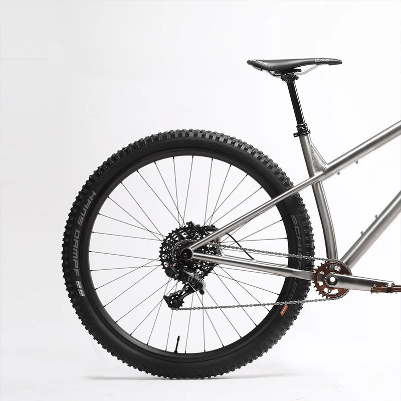 aggressive 29er hardtail