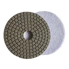 4 Diamond China Promote 4 Inch Wet Diamond Marble Polishing Pads