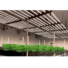 Light Spider Bars Full Spectrum New Tech Folding Bar Grow Light 630W For Greenhouse