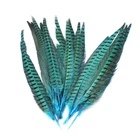 Feather Feathers Pheasant Factory Custom Color 10-70 Cm Ringneck Pheasant Tail Feather