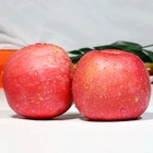 Fuji Fruit Apple Fujiapplefujiapple 2020 Hot Selling Chinese FUJI Fruit Apple Apple Price