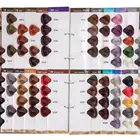 Colors Color 94 Colors Natural Best Selling 100ml 78 Colors Paraben Free Low Damage Color Cream Hair Dye