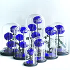 Roses Wholesale Valentines Gift Preserved Real Fresh Long Stem Roses In Glass Eternal Flowers