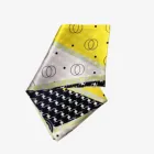 Long Scarf 150*16cm Spring Summer Scarves Ribbon Long Silk Scarf For Hair With Hand Scarf Packaging