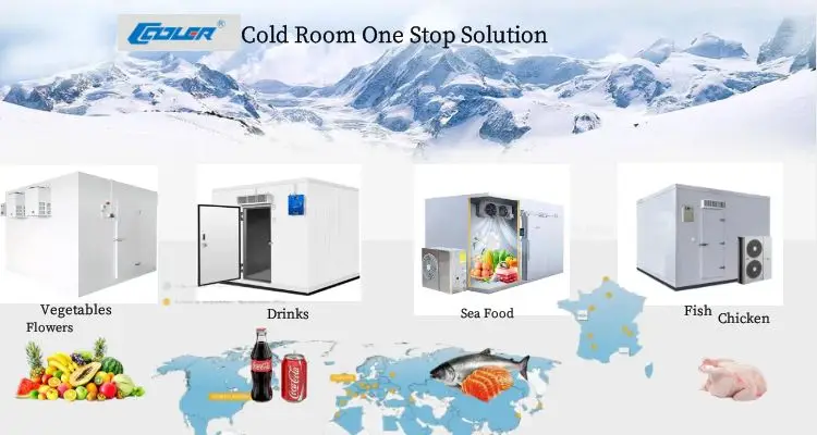 Container Storagecold Room Freezer, 380V, 9.45kw~21.1kw - detail 2