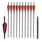 Wholesale High Quality Shooting Use Pure Carbon Shafts Archery Arrow 31" With 4" Turkey Feather