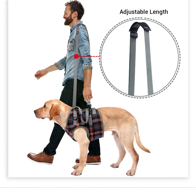 petbaba dog harness