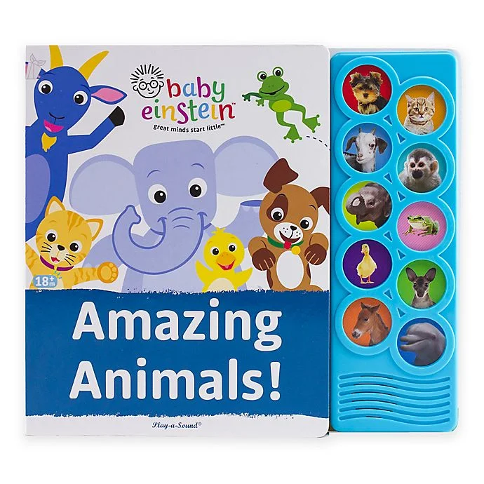 Children Push Button Sound Module for Kid Early Education details