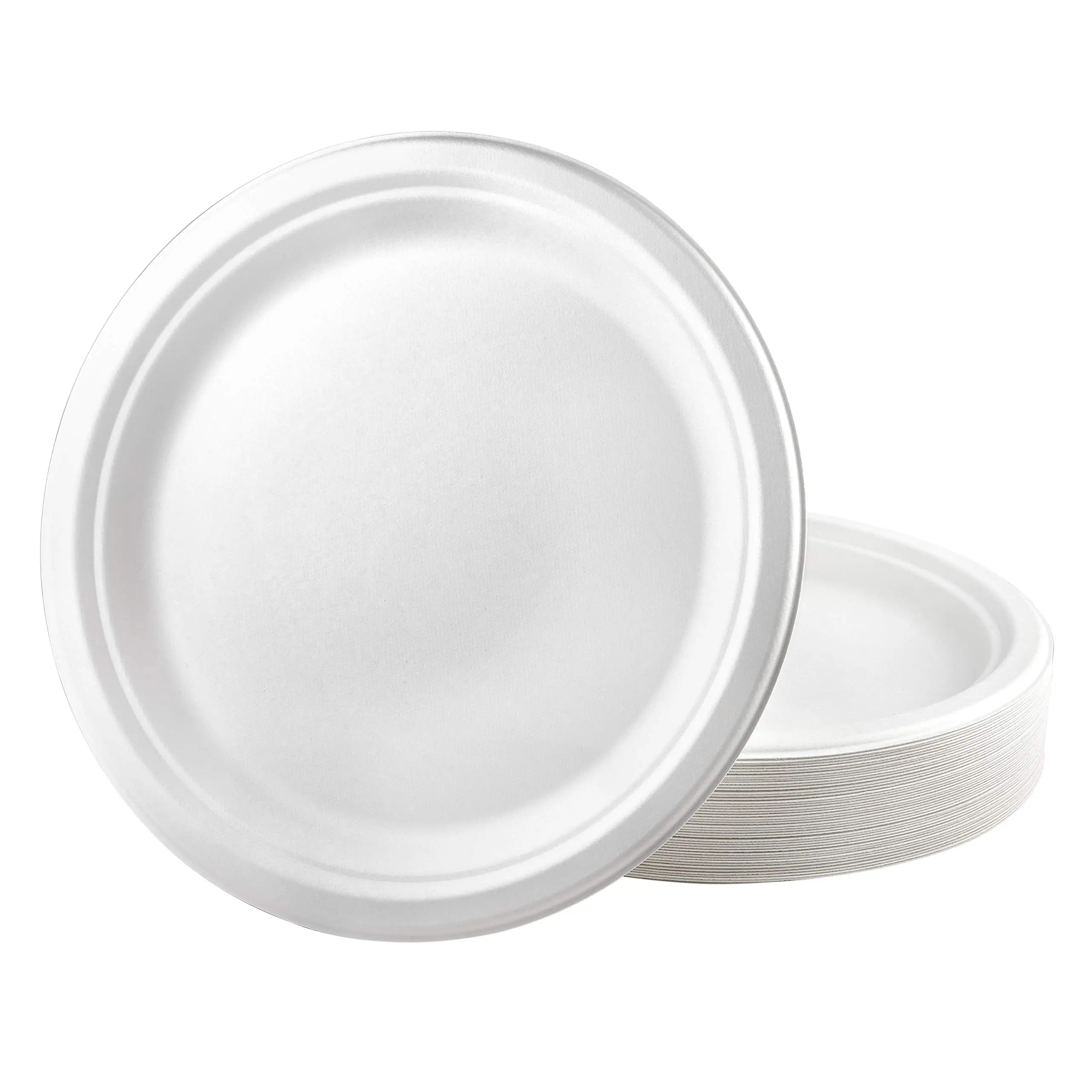 Disposable Tableware Biodegradable Sugarcane Bagasse Paper Pulp Mould ...