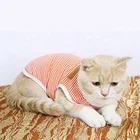 Pet Bear Top Selling Products Dog Vest Pet Clothes Teddy Bear Cat Thin Cute Puppy