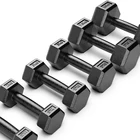 Custom Logo 5kg Coated Sport Dumbells Workout Weights With Stand Up The Dumb Bell Pro Style Dumbbells