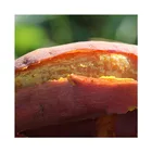 Food Balanced Food Sweet Glutinous Sweet Potatoes Cheap Wholesale Sweet Potatoes