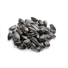 Wholesale Price Top Grade Organic New Crop Sunflower Kernels In Bulk From Kazakhstan Direct Supplier
