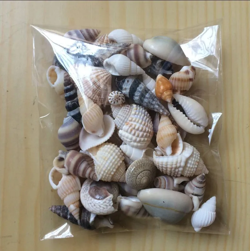 Natural Mini Conch Mediterranean 1Bag Interesting Colored Mixed Real Small  Sea Shells Aquarium Nautical Decoration Ornaments