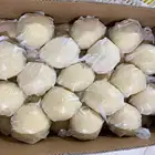 Lemon Lemon Chinese Wholesale Citrus Export Natural Fruit High Nutrition Yellow Fresh Lemon