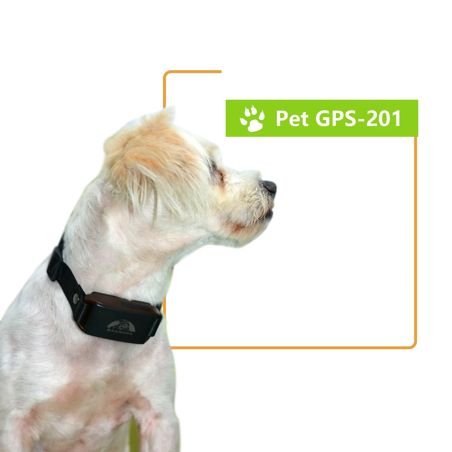 Pet GPS