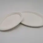 Packaging Pulp 12.5"disposable Packaging Sugar Cane Pulp Bagasse Oval Dish