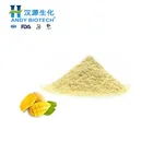 Fruit Factory Supply High Quality Low Price Mango Fruit Juice Powder