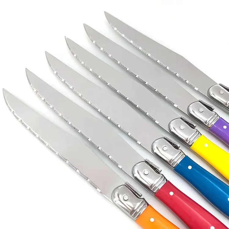 High Quality Stainless Steel ABS Kitchen Knife Steak Knife Set with Multicolor Handle