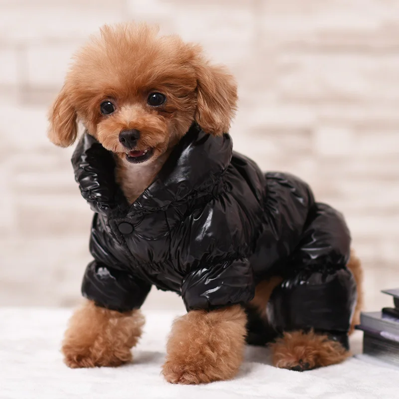 dog bubble coat