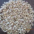 Pine Nut Nuts Factory Direct Raw Processing Pine Nut Kernels Pecan Nuts Pine Kernels