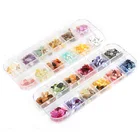 Abalone Shell 12Grids Natural Thin Nail Art Sequins Flake Crush Decoration Abalone Shell Fragments DIY 3D Sea Nail Shell