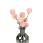 Natural Pink Selling Real Natural White Pink Pristimera Windmill Fruit Natural Preserved Flower For Bride Bouquet Flower