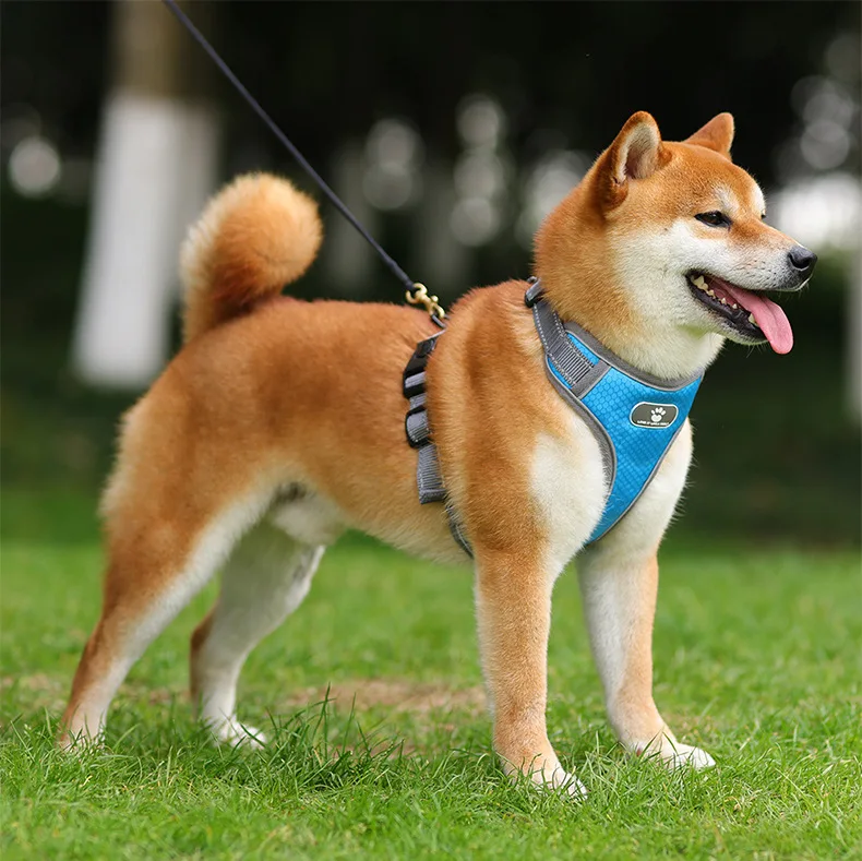 Hot Sale Pet Harness Reflective Nylon Dog Leash Harness Set Small Puppy Dog Cat Harness Pet Products factory