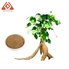 Pueraria Powder HONGDA Supply Pueraria Mirifica Extract Powder