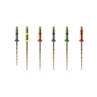 DENCO Hot Sale Taper 4 And Taper 6 Files PRO-FLEXI FILES Heat Activation