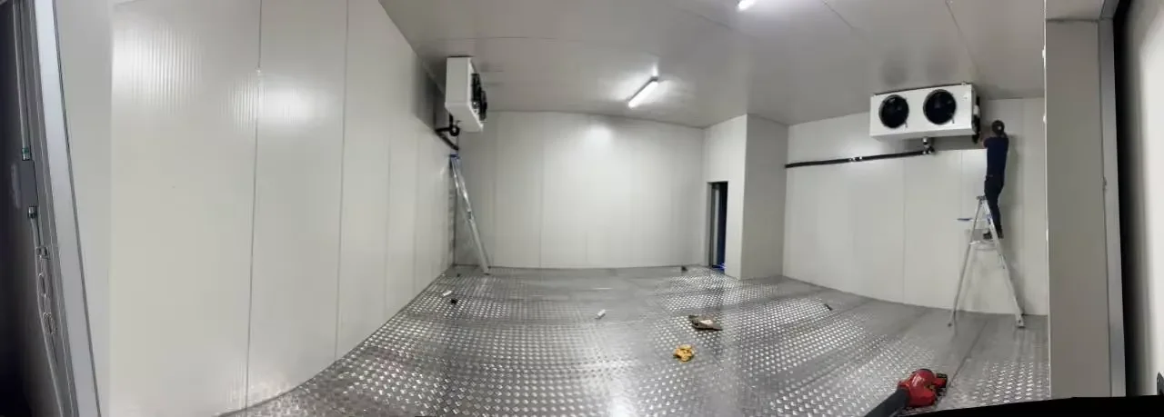 Freezer, 220V, R-410A - detail 46