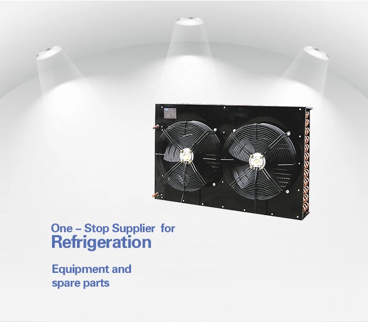 Air Cooled Condenser, Axial, 220V, R404a - detail 2