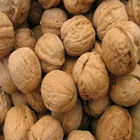 Nuts Bulk Packing Walnut Nuts With Shell