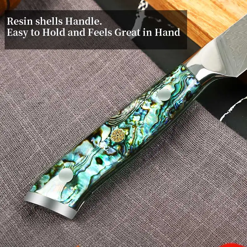 Kitchen Utility Knife 5 Inch Damascus Steel Chef Knife Japanese VG10 Steel 67-Layer Abalone Handle Damascus Utility Knife