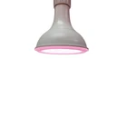 Led Lamp Ledled Led Plant Light Indoor Full Spectrum Custom Wholesale Led Grow Lights For Indoor Plants Lamp Plant