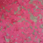 Heart Confetti Cannon Wholesale High Quality Valentine's Day Red Heart Shaped Confetti Cannon