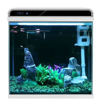 wholesale live tropical fish