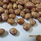 Beans Light Speckled Kidney Beans Long Shape Beans New Crop Wholesale Healthy