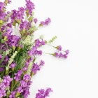 Floral 2020 China Hot Sale Background Floral Dried Flowers Decoration Wall With Branch Wedding Available