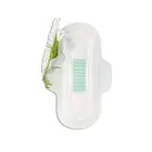 Pad Pads Factory Price Pure Organic Cotton Free Sample Customized Free Of Carcinogens Pad In Sanitary Pads