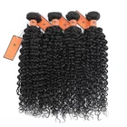 Hair Extensions Silky Unprocessed 1 Donor Virgin Remy Human Hair Brazilian Weave Purple Color Straight Extensions