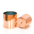 Metal Pots Cylindrical Succulent Plants Electroplating Metal Surface Home Garden Plant Pots Indoor Garden Flower Pots