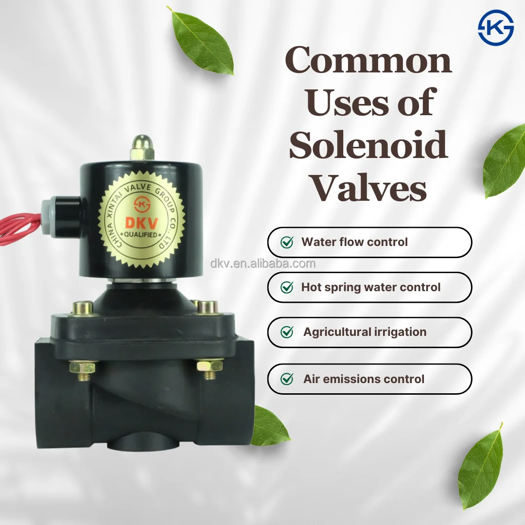 Solenoid Valve, DKV, 0927, Brass, 24V - detail 16