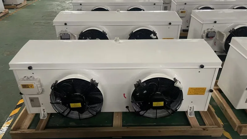 Blast Freezer, 220V, Metal - detail 6