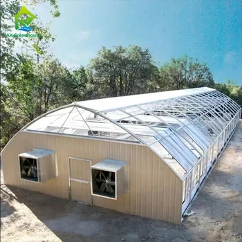 Agricultural Tunnel Fully Automated Light Deprivation Greenhouse Single