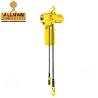 Hoist ALLMAN Hook Suspension Type 2 Ton Electric Chain Hoist 230V Single Phase