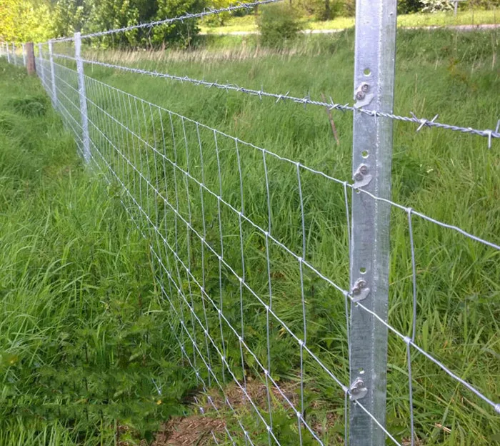 Boundaries fence8.jpg